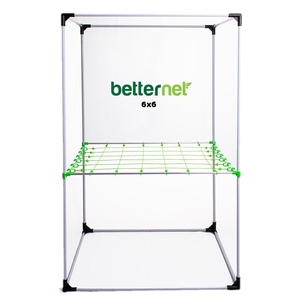 Betternet 6x6 <br>Basic Grownetz - Growber