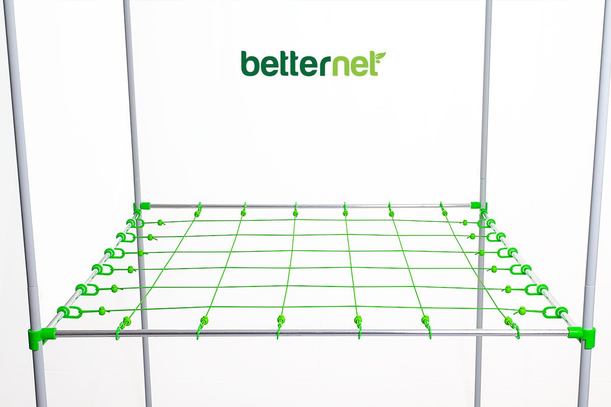 Betternet 6x6 <br>Basic Grownetz - Growber