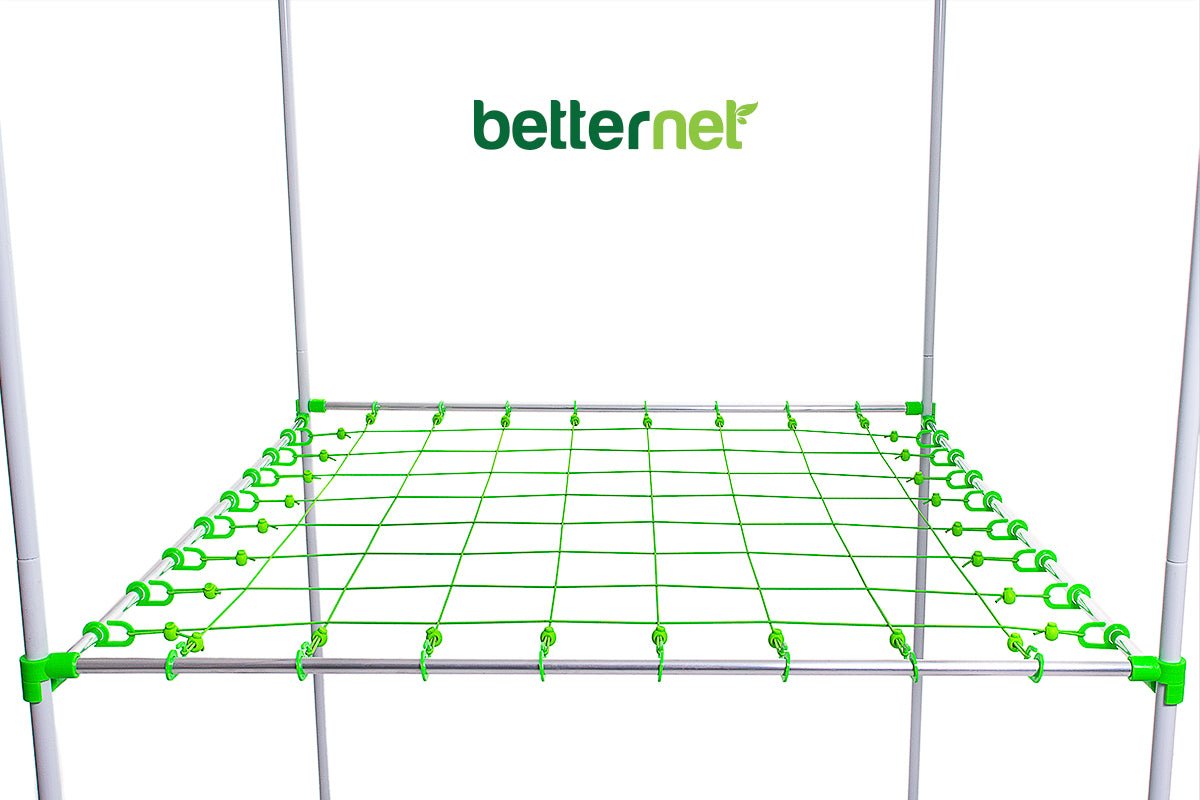 Betternet 8x8 <br>Scrogkit Grownetz - Growber