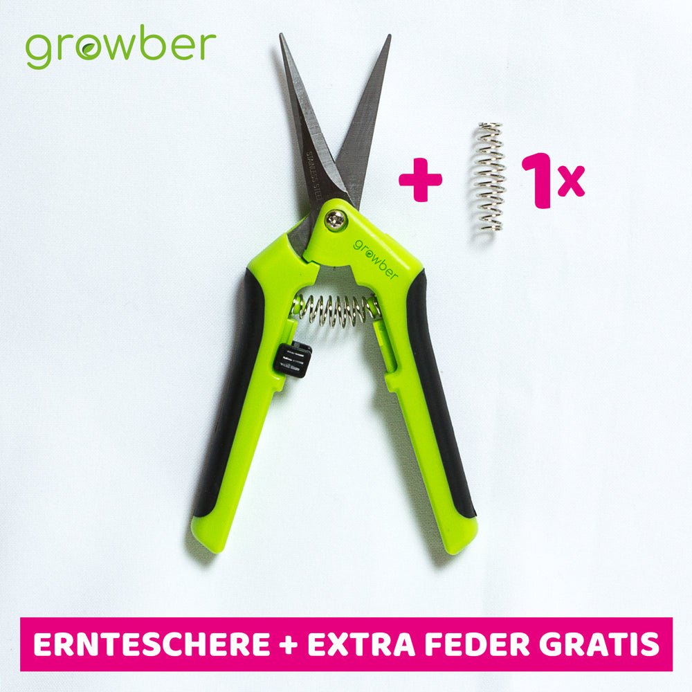 Ernteschere gebogen <br> + Ersatzfeder - Growber