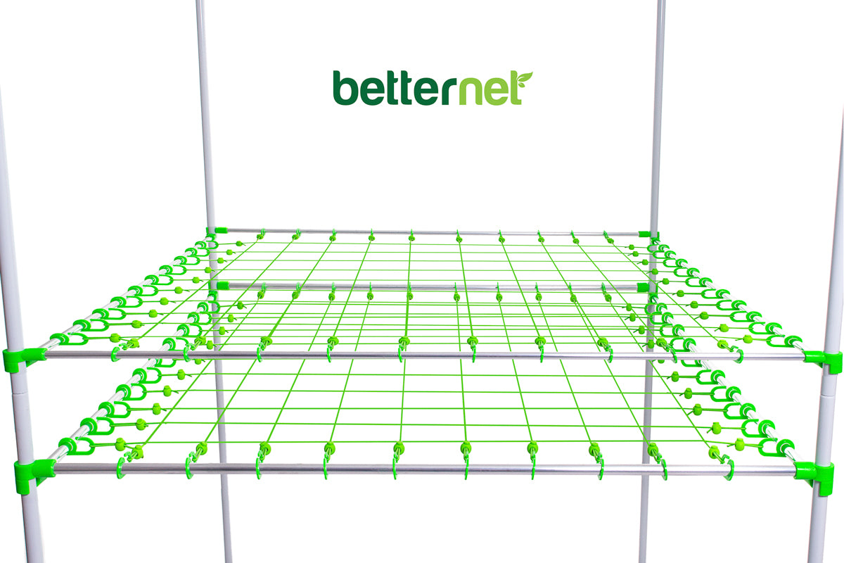 Betternet_10x10 Double Layer Scrognetz Closeup