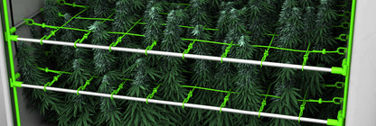 Betternet 10x10 Double Layer - Grow + Scrog Netz für Growboxen und Growzelte bis 150x150cm