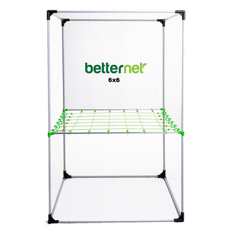 Scrog Netze
